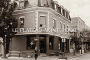 MONTREAL: Elegant Display Font, a Font by Chez Núñez (Thumbnail 4 of 5)