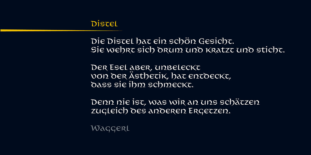 Distel, a Font by Finaltype (Photo 11 of 11)