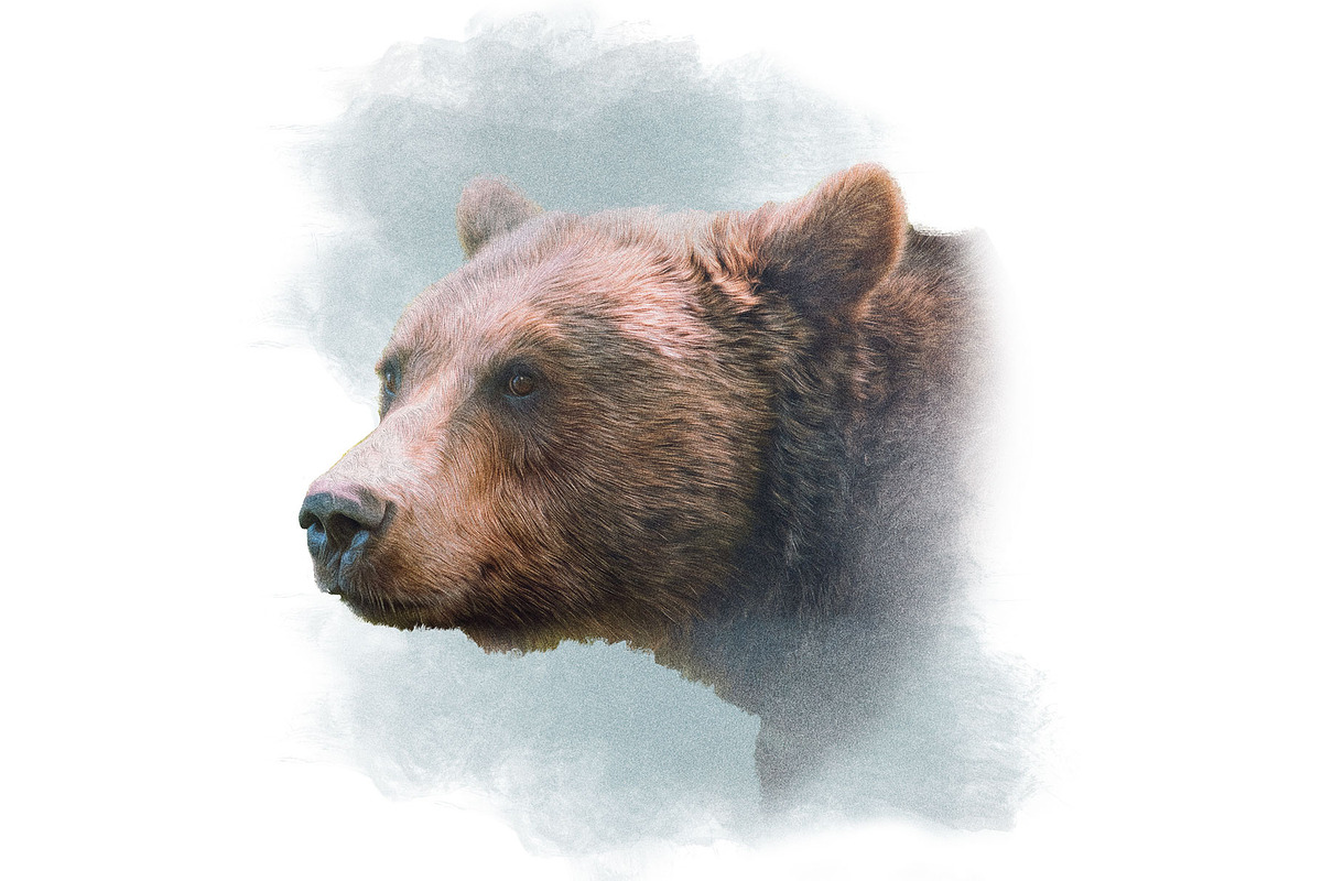 Portrait of a Grizzly Bear in color, an Animal Illustration by Digital Art Downloads (Photo 3 of 4)