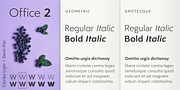Clarika Office, a Sans Serif Font by Wild Edge (Thumbnail 4 of 9)