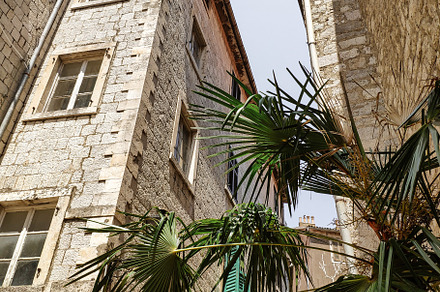 Beautiful narrow street with palm tr, an Architecture Photo by Photo by YuraYaryna