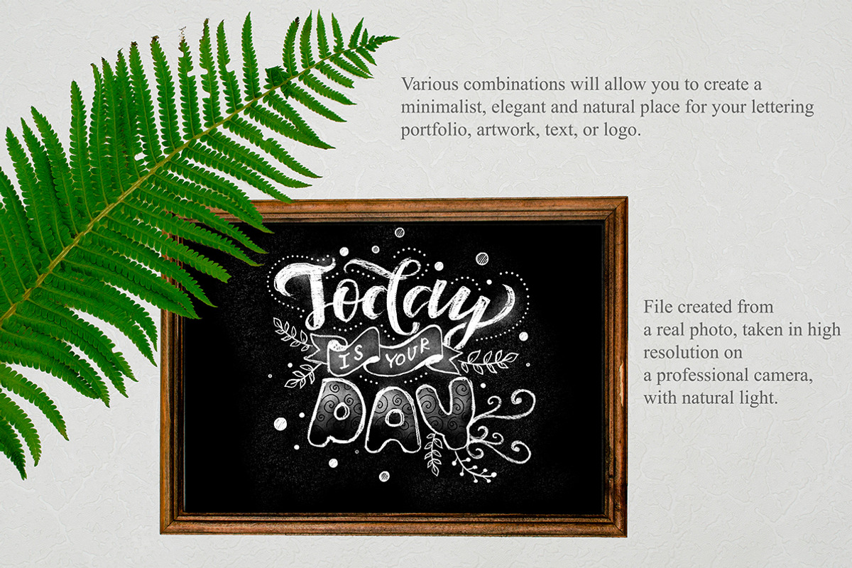Retro Chalkboard and Fern creator, a Product Mockup by Letter Elfa Studio (Photo 5 of 7)