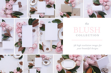 Blush - Invite Mock Up Bundle