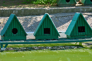 Small green wooden birdhouses with triangular roofs, set on a gr, an Architecture Photo by ndanko