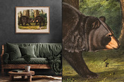25 Vintage Mammal Prints by Audubon, an Animal Illustration by The Object Atlas (Thumbnail 10 of 10)