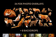 24 Fox Photo Overlays, an Action Add-On by PhotoEffects.Store (Thumbnail 10 of 10)