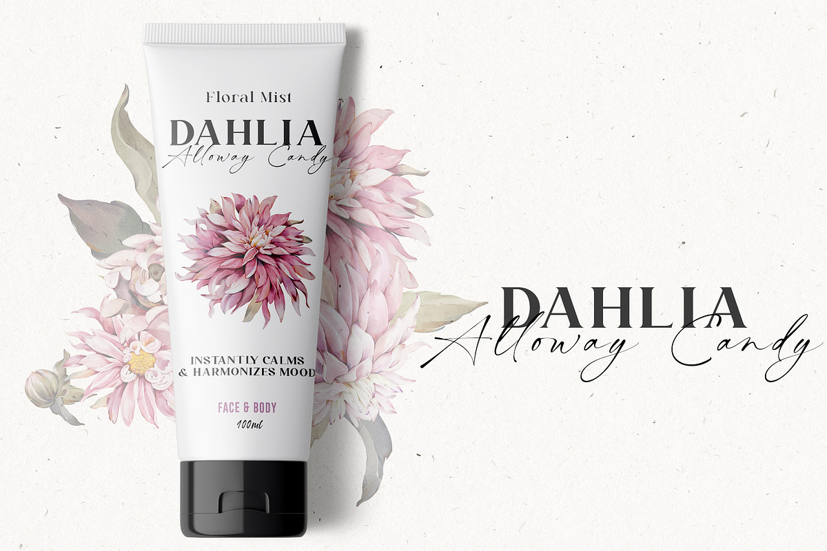 Watercolor Dahlia Floral Elements, a Decorative Illustration by Damian Roh (Photo 3 of 12)