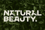 Kaligawe, a Sans Serif Font by Locomotype (Thumbnail 10 of 12)