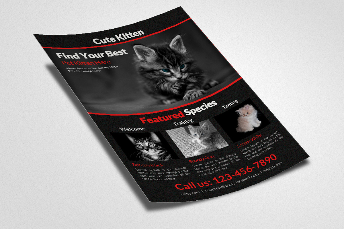 Pet Shop Flyer Templets, a Flyer Template by Psd Templates (Photo 2 of 3)