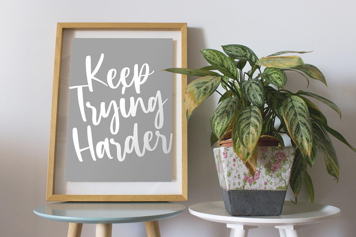 Celosia Golden - Calligraphy Font, a Script Font by Letterative Studio (Photo 6 of 7)