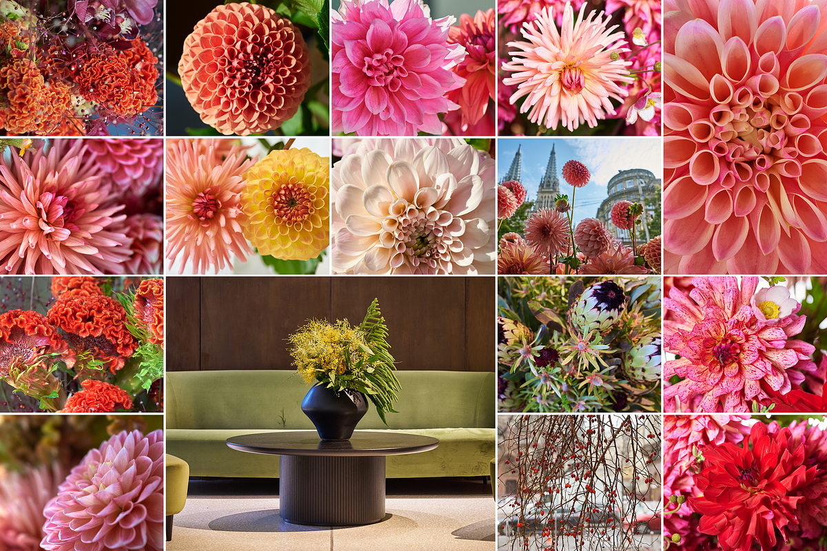 350 Photo Flower Arrangements, a Nature Photo by PopotLane (Photo 7 of 8)