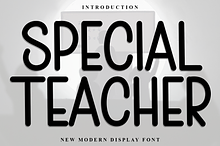 Special Teacher