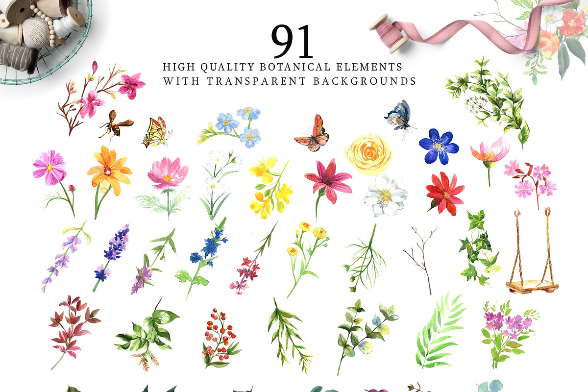 Watercolor Flower Set - Wild Flower, an Illustration by Pixavics (Photo 6 of 10)