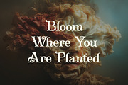 Oath & Ember - Storytelling Typeface, a Serif Font by HipFonts (Thumbnail 4 of 10)