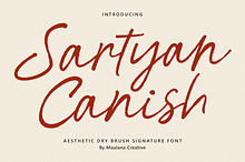 Sartyan Canish Aesthetic Dry Brush