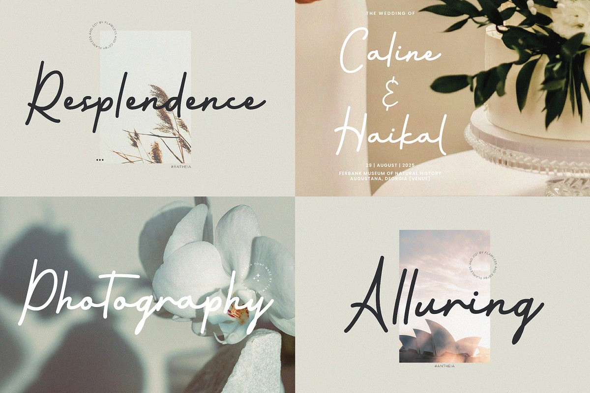 Modern Script Font Bundle, a Script Font by Flawless And Co (Photo 3 of 11)