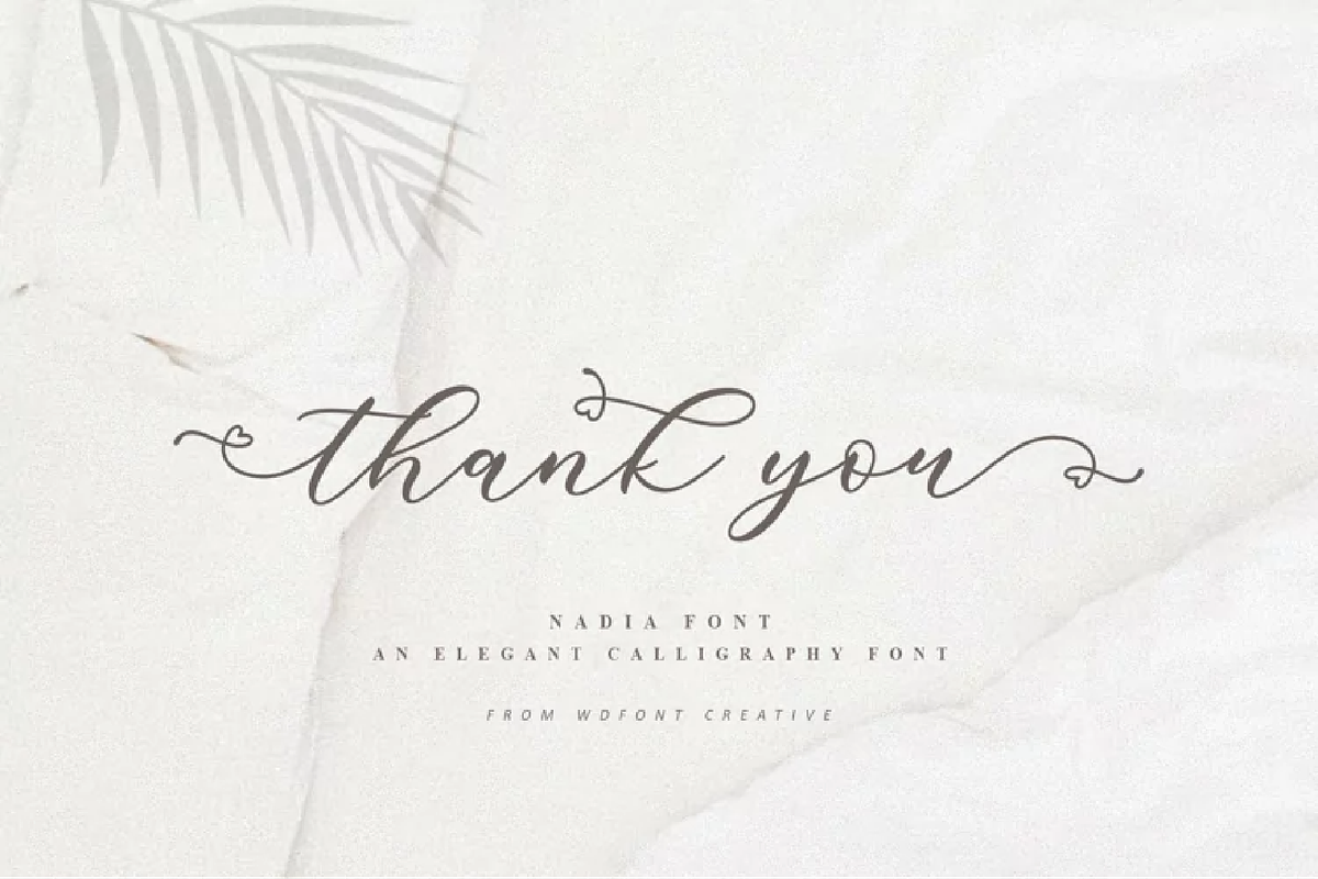 Nadia Script | Lovely Calligraphy, a Script Font by WDfont (Photo 9 of 10)