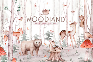 Watercolor woodland collection
