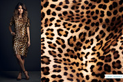 Realistic Animal Print Patterns, a Pattern Graphic by Lindy_doodle (Thumbnail 8 of 11)