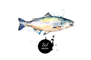Watercolor Sketch Seafood Vector Set, an Animal Illustration by Elena Pimonova (Thumbnail 3 of 4)