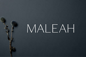 Maleah Sans Serif Fonts Family Pack