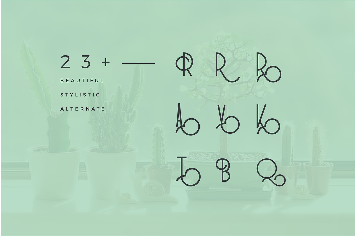 RedFlower Typeface 80% OFF preview 5