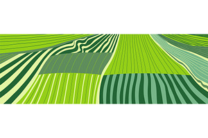 Vector farm field landscape. Furrows