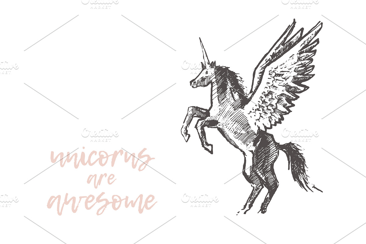 Illustrations of unicorns, an Animal Illustration by TheMountBirdStudio (Photo 2 of 5)