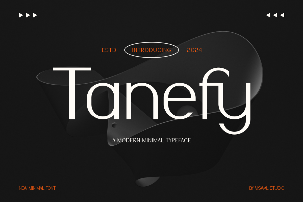 Tanefy - Modern Font, a Sans Serif Font by Viswal Studio (Photo 1 of 8)
