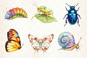 Watercolor Bugs Sublimation Clipart, an Illustration by Dream Creation (Thumbnail 2 of 6)