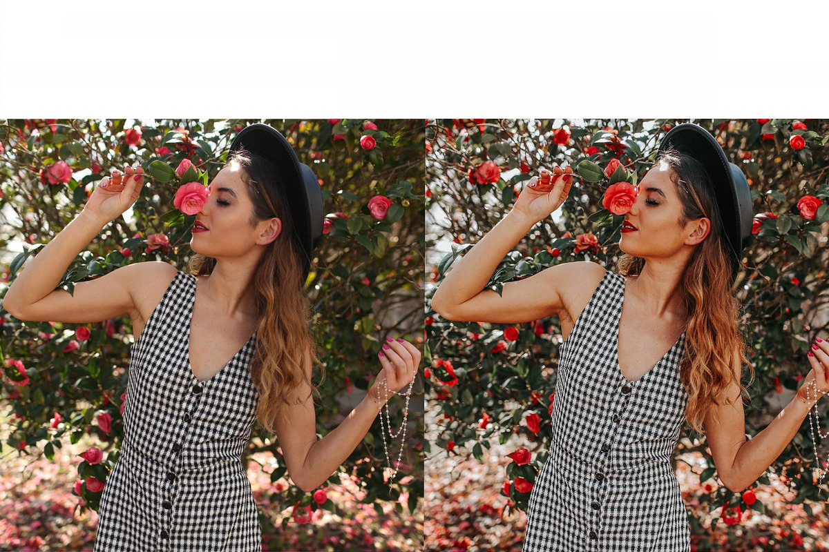 Desktop Lightroom Preset VIBRANT preview 5