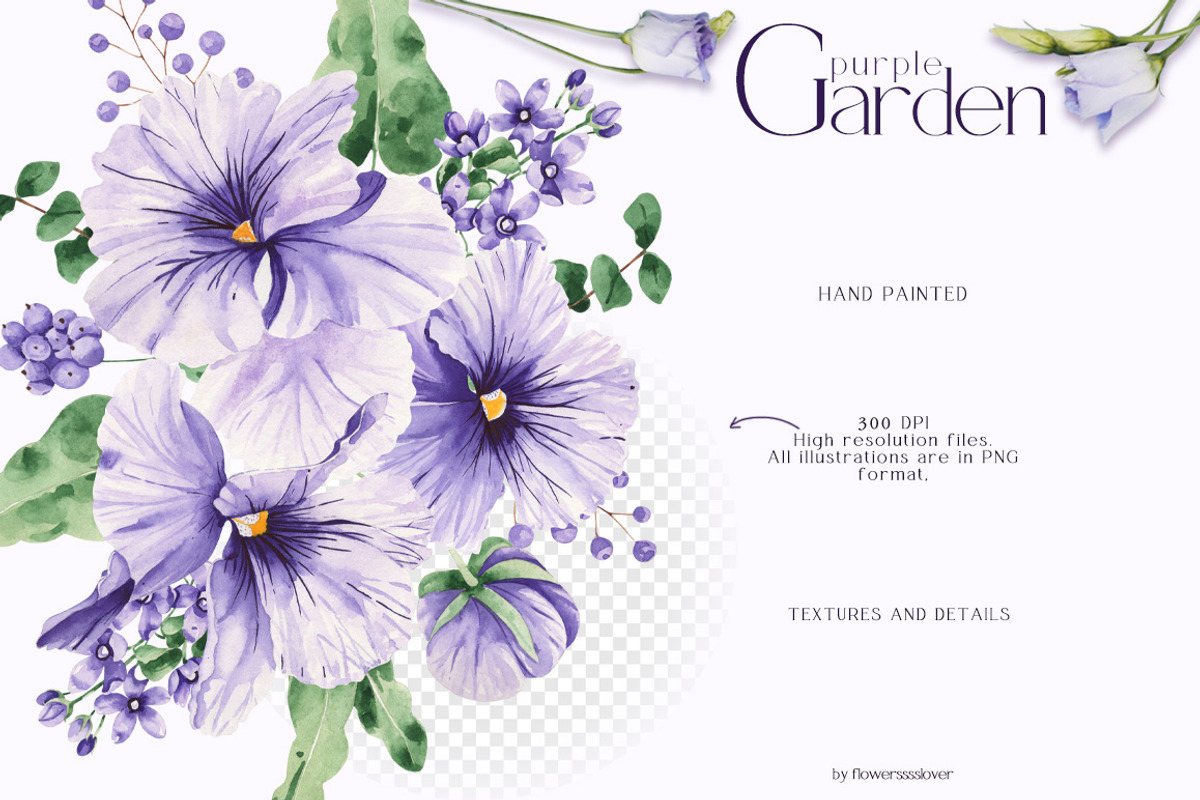 Watercolor Flowers Set Purple Garden, a Decorative Illustration by ViktoriyaD (Photo 6 of 14)