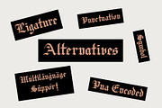 Fullerton Next, a Blackletter Font by Emyself Design (Thumbnail 7 of 11)