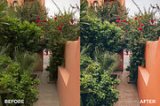 Orange Lightroom Mobile Presets, an Action Add-On by in between details (Thumbnail 3 of 12)
