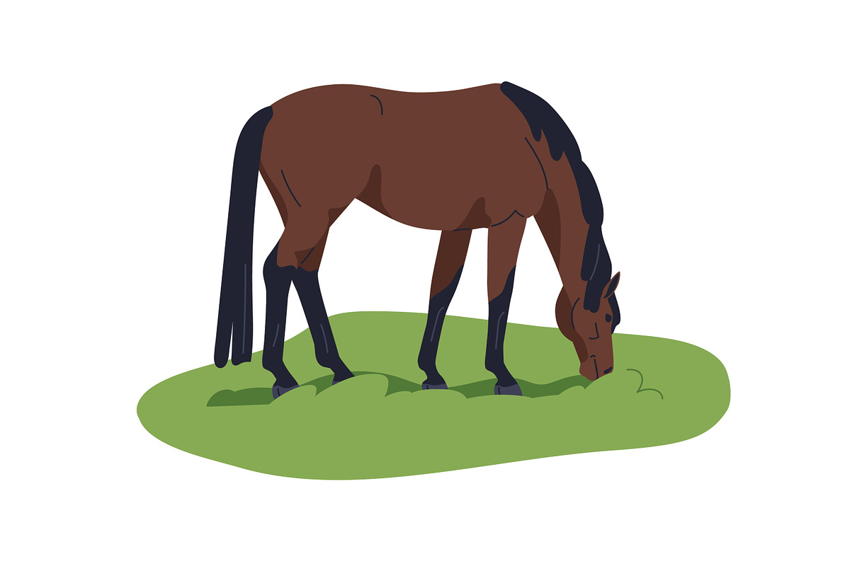 Horses together outdoors set, an Animal Illustration by Good Studio (Photo 5 of 5)