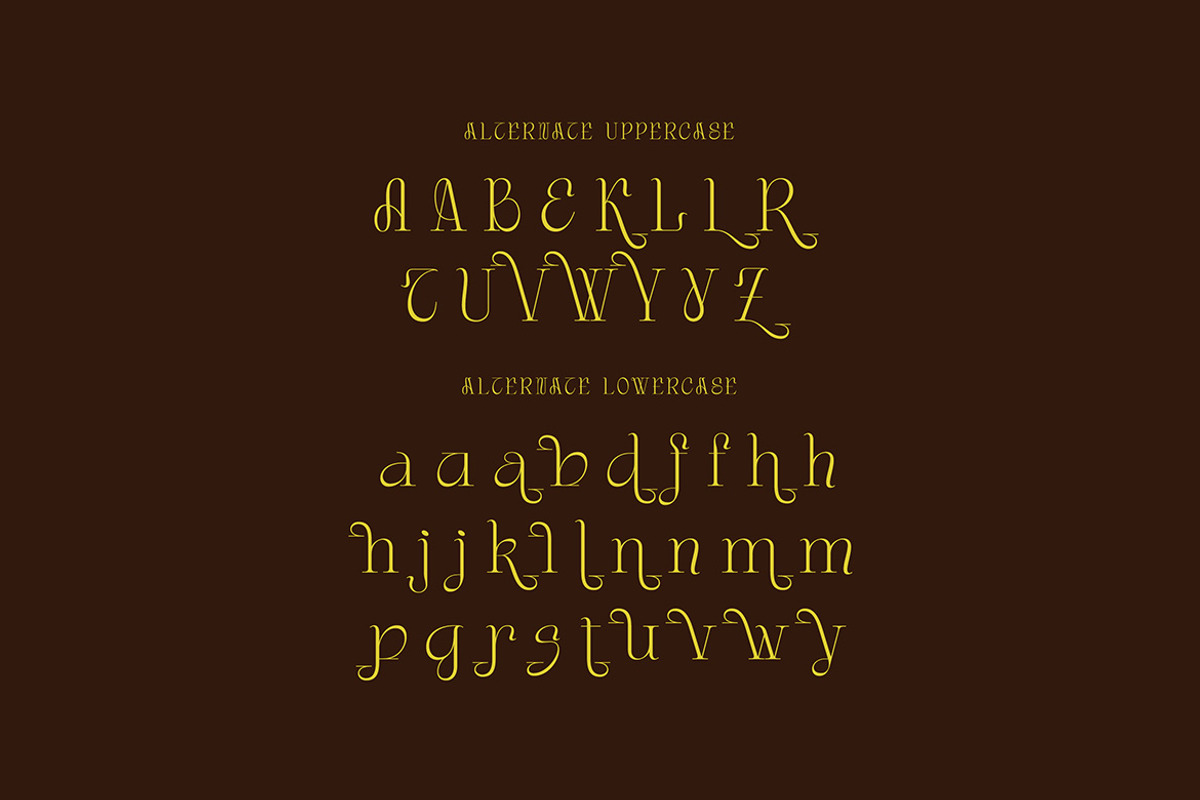 Gordon Tucker Stylish Serif, a Serif Font by Cruzine (Photo 4 of 8)