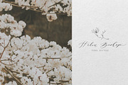 Line wedding illustrations, an Illustration by Summer Nightingale Art (Thumbnail 7 of 12)