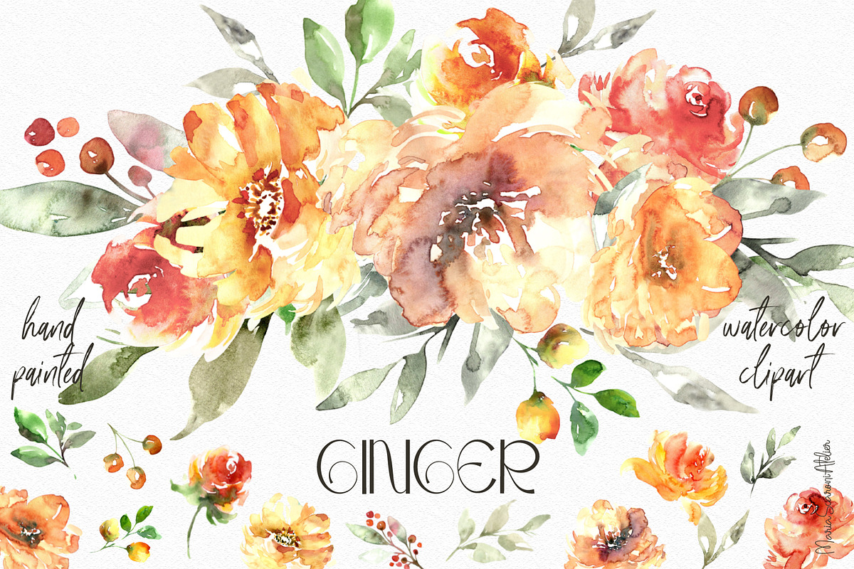 Ginger - Watercolor Flowers Clipart, a Decorative Illustration by MariaScaroniAtelier (Photo 1 of 6)