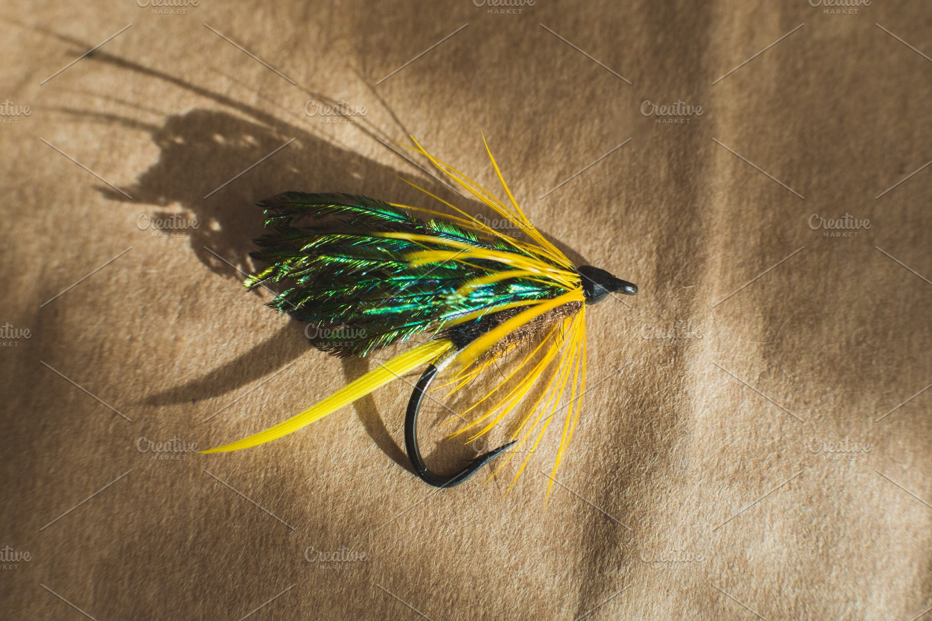 Macro shot of a wet fly fishing , Magalloway, an Animal Photo by IlyaMarchenko