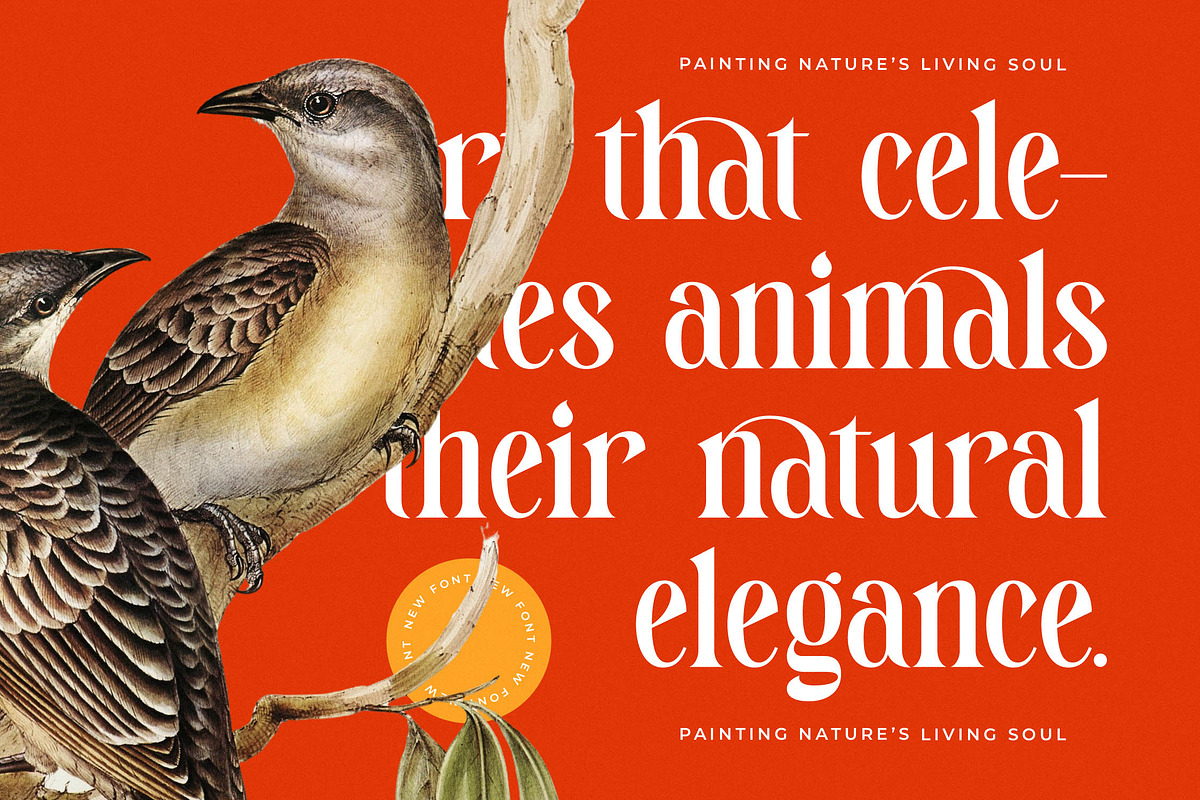Magitals Glowing Modern Serif, a Serif Font by timelesstype.co (Photo 9 of 20)