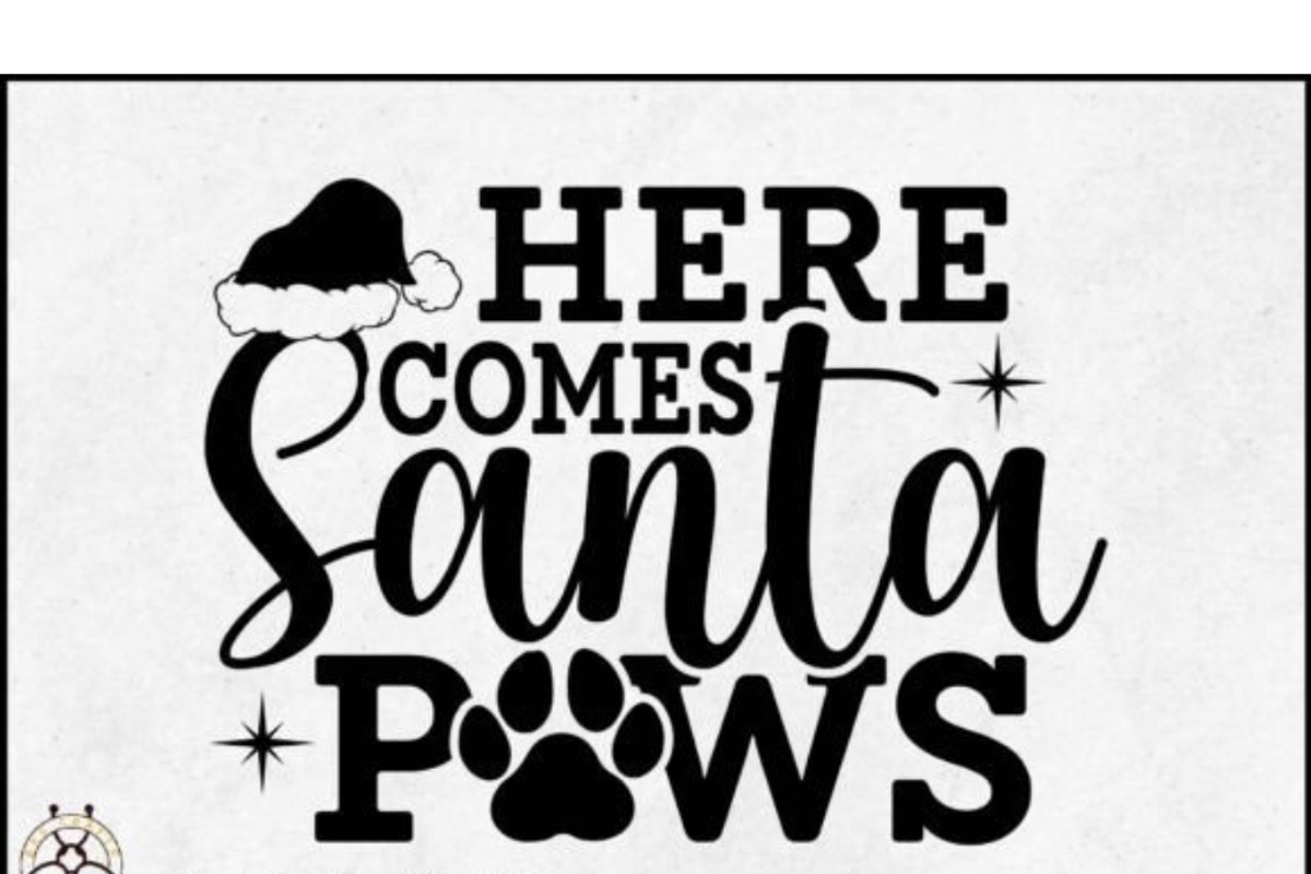 Christmas Dog SVG Bundle Santa Paws, a Graphic by BeeCraftR (Photo 8 of 9)