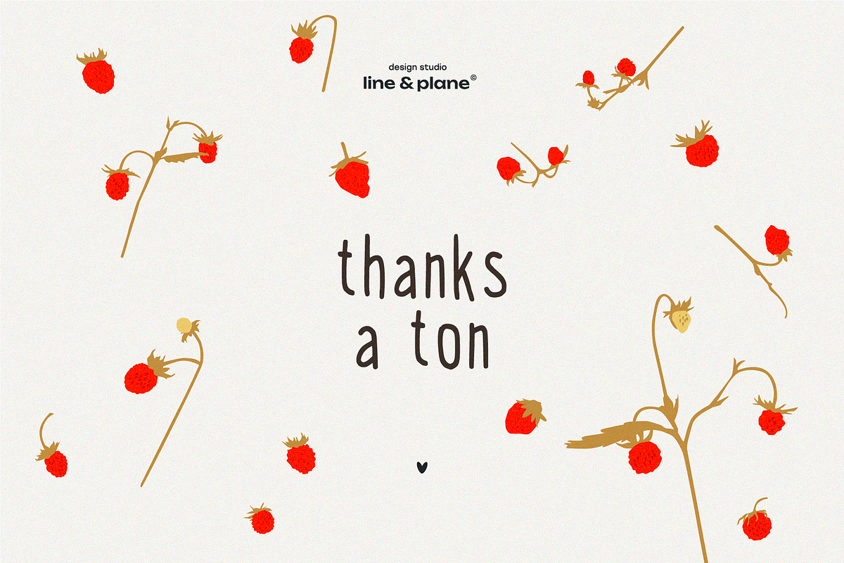 Organic Meadow Strawberries, an Object Graphic by line & plane (Photo 7 of 7)