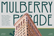 Lovnie – Art Deco Font, a Sans Serif Font by Craft Supply Co. (Thumbnail 6 of 8)