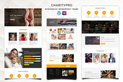 Charitypro – Charity WordPress Theme, a WordPress Template by Pennyblack Templates (Thumbnail 1 of 3)
