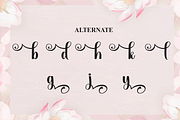 Angelic | Script Font, a Handwritten Font by Scratchones (Thumbnail 8 of 9)