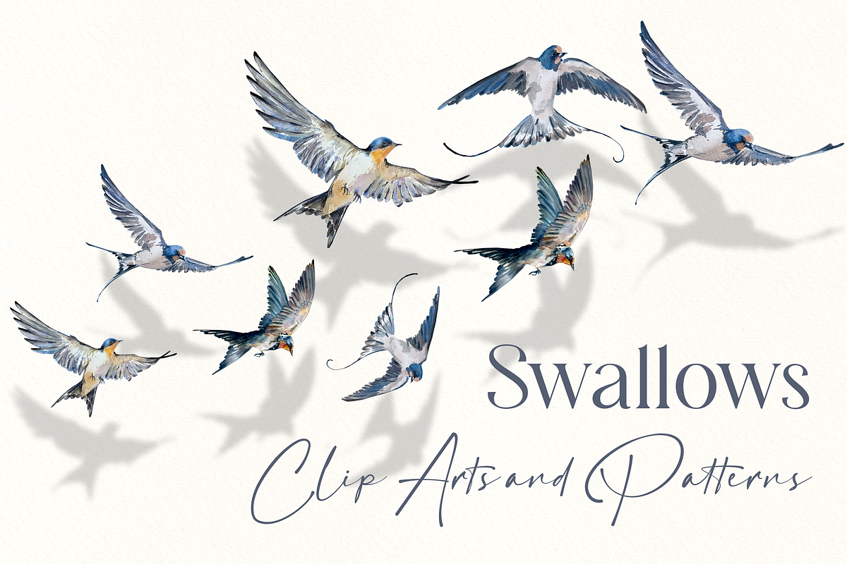 Swallows Watercolour Set, a Decorative Illustration by Tati Bordiu (Photo 1 of 6)