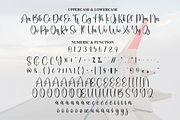 Airplane | Script Font, a Handwritten Font by Scratchones (Thumbnail 7 of 8)