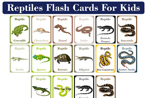 Reptiles Flash Cards Kids, a Card Template by DigitalsDesigns