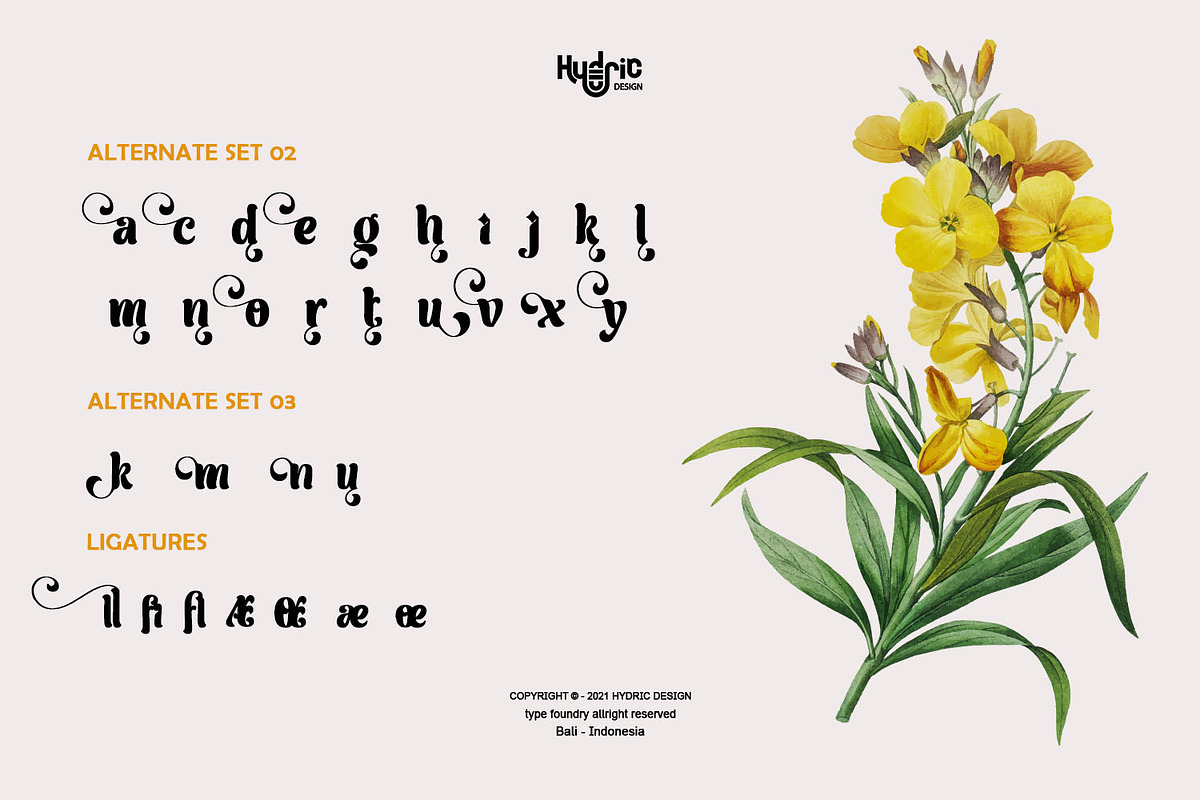 Milli | Luxury Serif Display Font, a Sans Serif Font by Hydric Design (Photo 6 of 9)