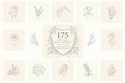 Birth-Flowers. Trendy Plants, Logos, a Seasonal Illustration by Designwork (Thumbnail 1 of 21)